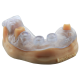 https://www.onexdental.com/yuklemeler/ikon/keyguide-full-1x1-1-1.png