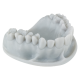 https://www.onexdental.com/yuklemeler/ikon/keyorthomodel_1x1.png