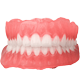 https://www.onexdental.com/yuklemeler/ikon/sprintray-apex-base-teeth-denture-removable-front-min-1024x687-1_onx.png